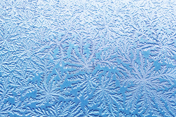 macro shot of bacterial pattern of Bacillus subtilis like a frost