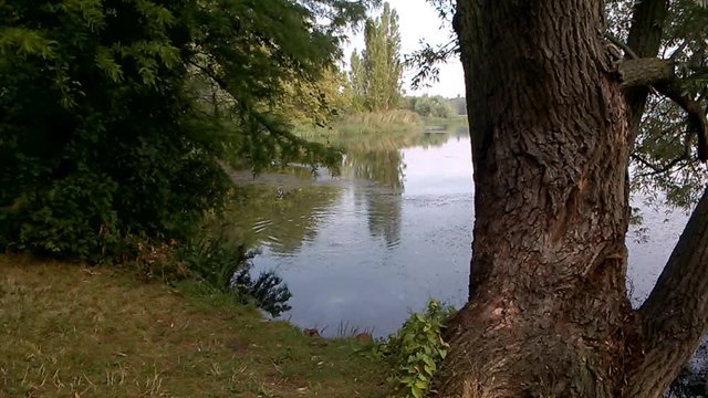 Water water water cinemagraph