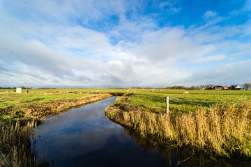 Dutch landscape between Haarlem and Amsterdam