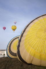 Obraz premium ascension of hot air balloons festival