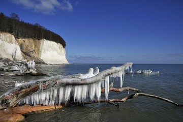 Kreideküste im Winter