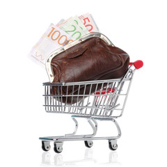 Purse in a shopping cart