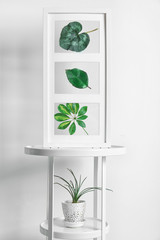 Frames with leaves and plant in pot on table on white background