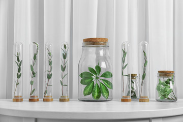 Floral composition with green leaves on table near window