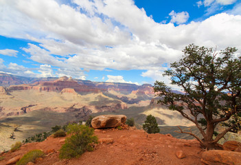 Naklejka premium Grand Canyon
