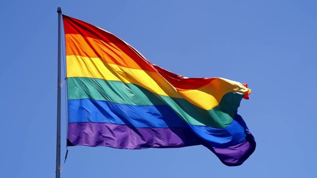 Rainbow flag  waving against clear sky