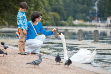 Fototapeta premium Young mother and her little son feeding swans at the lake