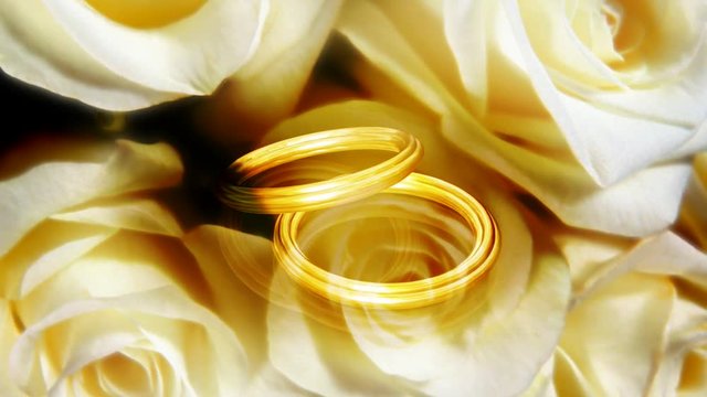 3d spinning golden roses with two gold wedding rings rotating