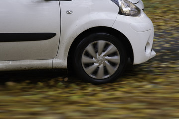 car driving in fallen leaves