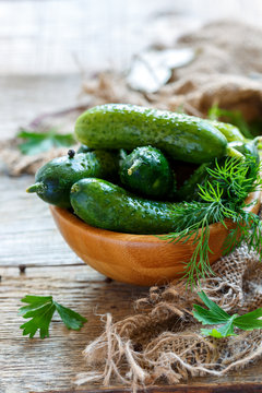 Freshly salted cucumbers with dill in a wooden bowl.