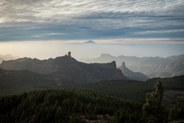 Fototapeta na wymiar Gran Canaria. Mountains. Forest.