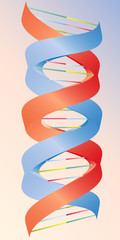 dna stylized structure