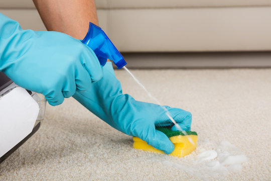 Person Cleaning Carpet With Detergent Spray Bottle