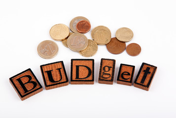 Budget. Wooden letters and money on a white background
