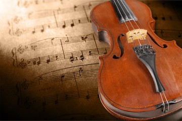 Fototapeta premium Cello.