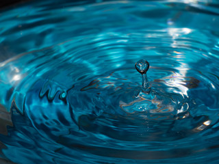 splash of water drop macro
