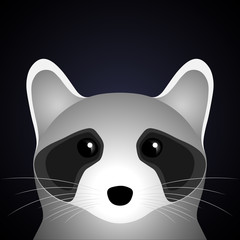 Sad raccoon.