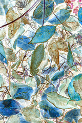 Leaf foliage background, blue and green color effect