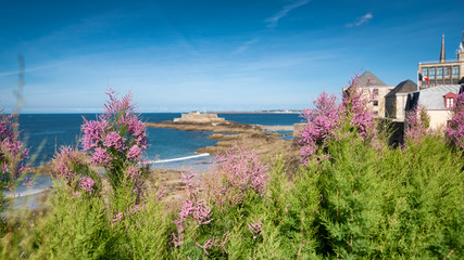 View through the flowers on Eventail beach and an island of National fort in Saint-Malo, France