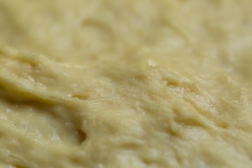 Raw yeast cake growing in bowl
