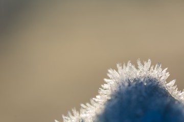 Snow crystals in beautiful macro