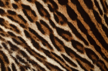 Fototapeta premium leopard fur background