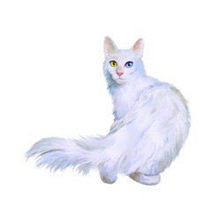Watercolor portrait of Turkish Angora cat with odd eyes isolated on white background. Hand drawn sweet home pet. Bright colors, realistic look. Emerald eyes. Greeting card design. Clip art. Add text - 133146305