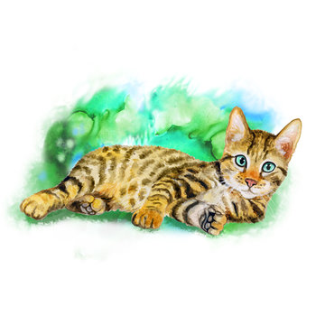 Watercolor portrait of serengeti cat with dots, stripes isolated on green background. Hand drawn detailed sweet home pet. Bright colors, realistic design. Greeting card design. Clip art. Add your text