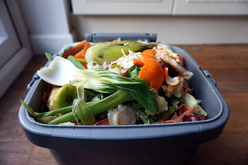 Full domestic food waste caddy, ready to be recycled