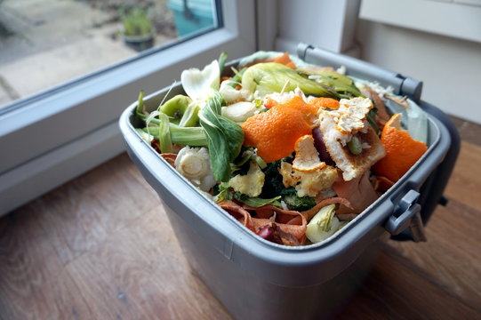 Container of domestic food waste, ready to be collected by the r