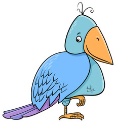 bird cartoon illustration