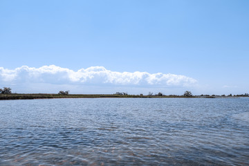 River landscape on sunny day