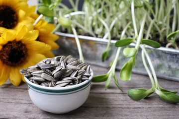 Sunflower seed and plant
