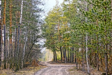 Лесной перекрёсток © butus