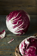 Fototapeta premium Raw Organic Purple Radicchio Lettuce