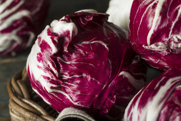 Obraz premium Raw Organic Purple Radicchio Lettuce