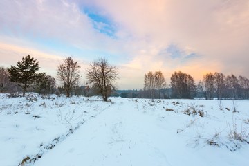 Polish typical winter rural landscape