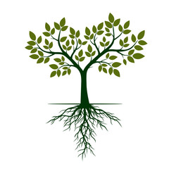 Green Tree with Roots. Vector Illustration.