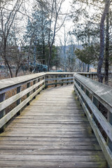 Wooden boardwalk in park during winter