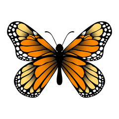 monarch butterfly eps vector on isolated white background.