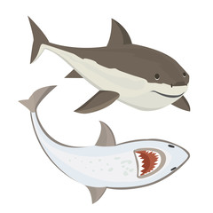 Naklejka premium Vector shark character.
