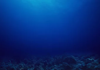 Bottom of the sea background.   © creativesunday