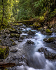 Upper Dungeness River near Sequim, WA, Olympic National Forest
