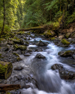 Upper Dungeness River near Sequim, WA, Olympic National Forest