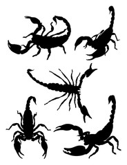 Image of Scorpions gesture animal silhouette. Good use for tattoo, symbol, logo, web icon, mascot, sign, or any deign you want. printed on Printed Glass Basin Splashbacks