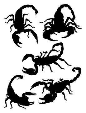 Scorpions gesture animal silhouette. Good use for tattoo, symbol, logo, web icon, mascot, sign, or any deign you want.