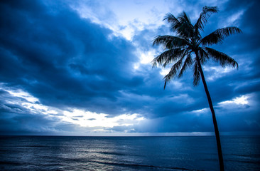 Blue Hawaii