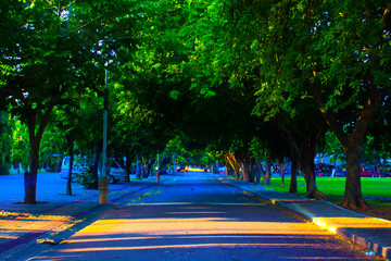 Trees in the Garden for background