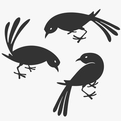 Group of Birds Vector Illustration