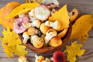 mushrooms on a table, selective focus